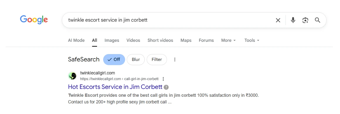 screenshot result keyword type on google 'twinkle escort service in jim corbett'
